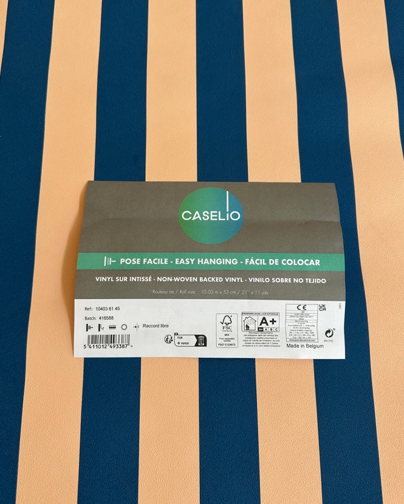 Papel Pintado de Rayas Caselio 10403 61 45 Beige y Azul